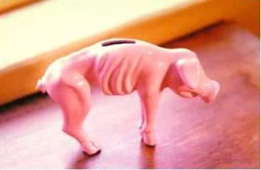 hungry money pig money beliefs affect your outlook